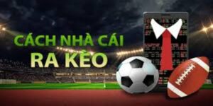cách nhà cái ra kèo