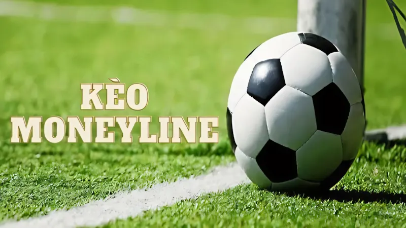 Kèo moneyline là gì